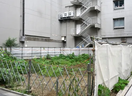 空き地