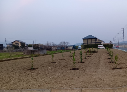 農地・耕作放棄地